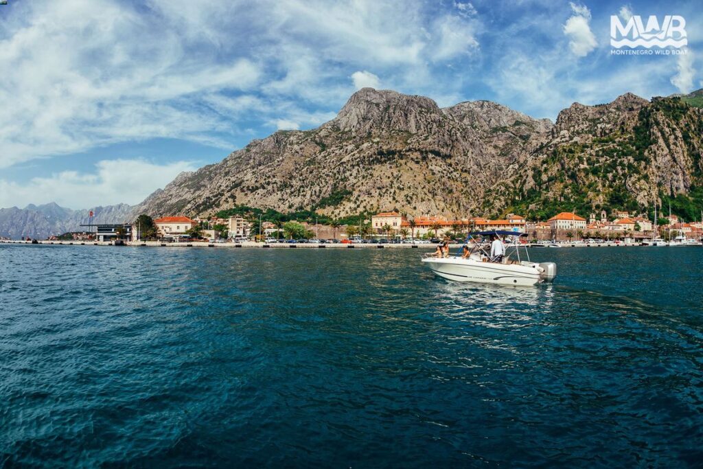 Kotor